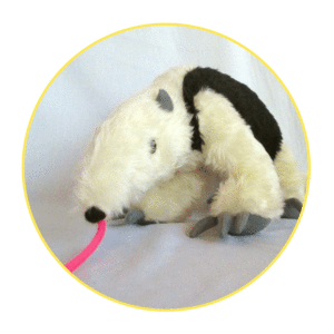 personalised plush toy anteater