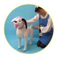 Dottie-the-dog