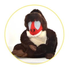 baboon-in-a-circle