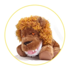 lion1 – Copy