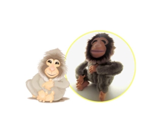 From Picture to Puppet