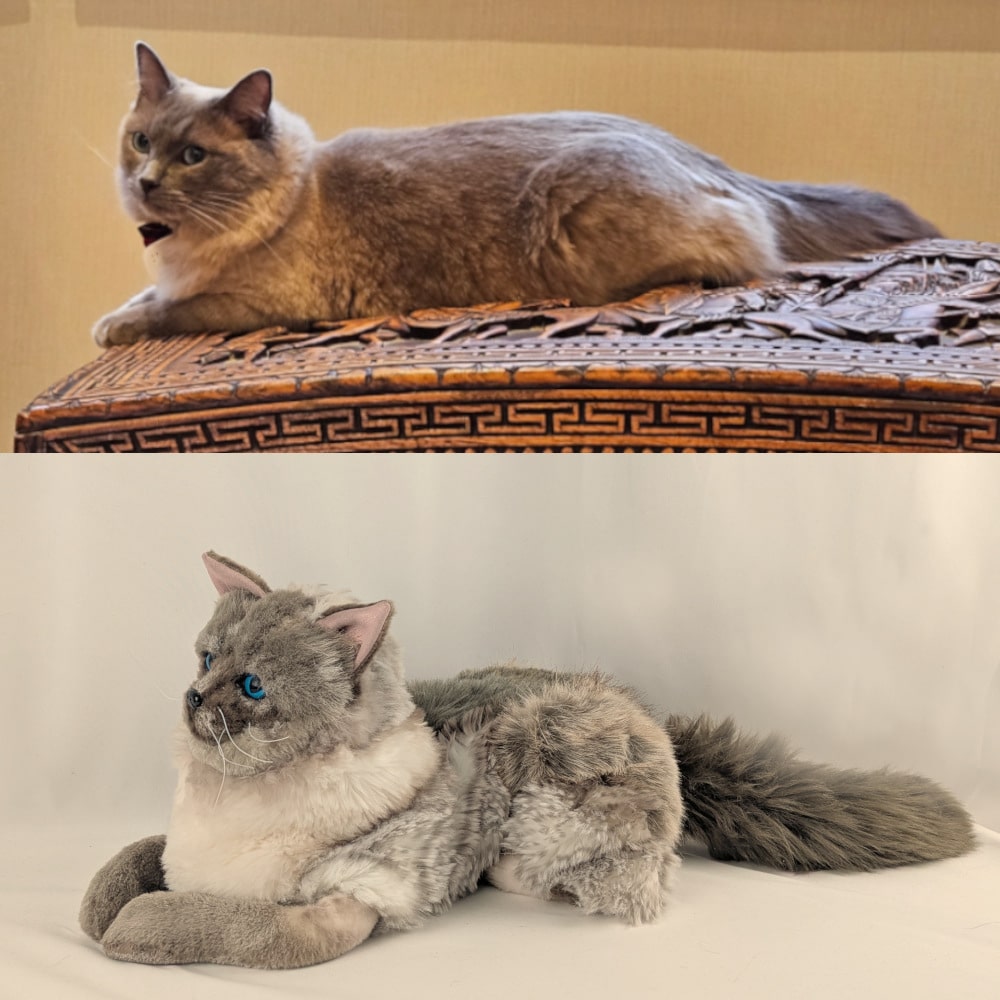 A custom pet soft toy ragdoll cat