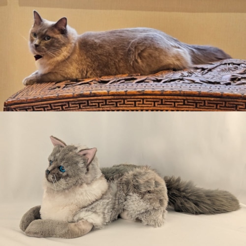 Pet Soft Toys
